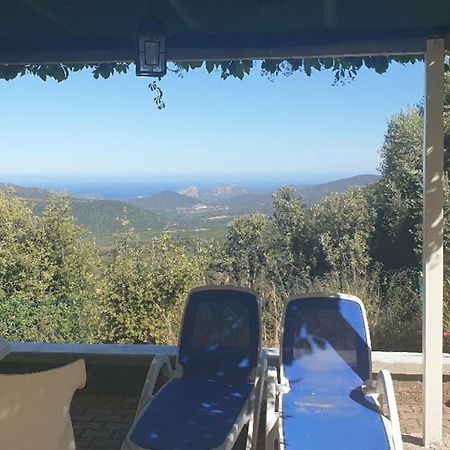 Vos Vacances A Lama France Corse Екстер'єр фото