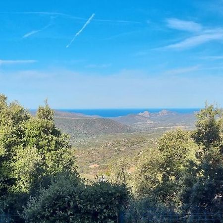 Vos Vacances A Lama France Corse Екстер'єр фото