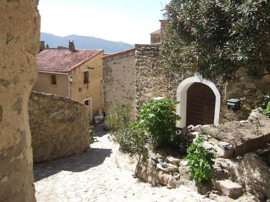 Vos Vacances A Lama France Corse Екстер'єр фото