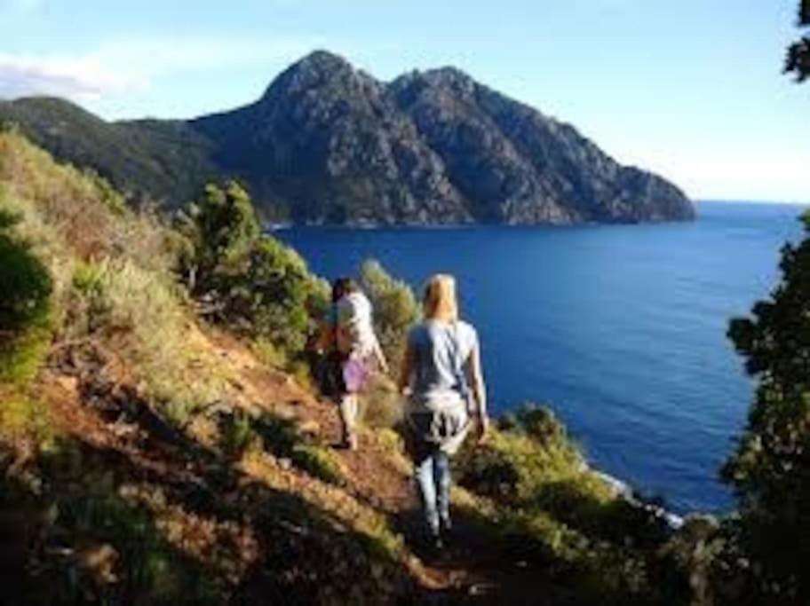 Vos Vacances A Lama France Corse Екстер'єр фото