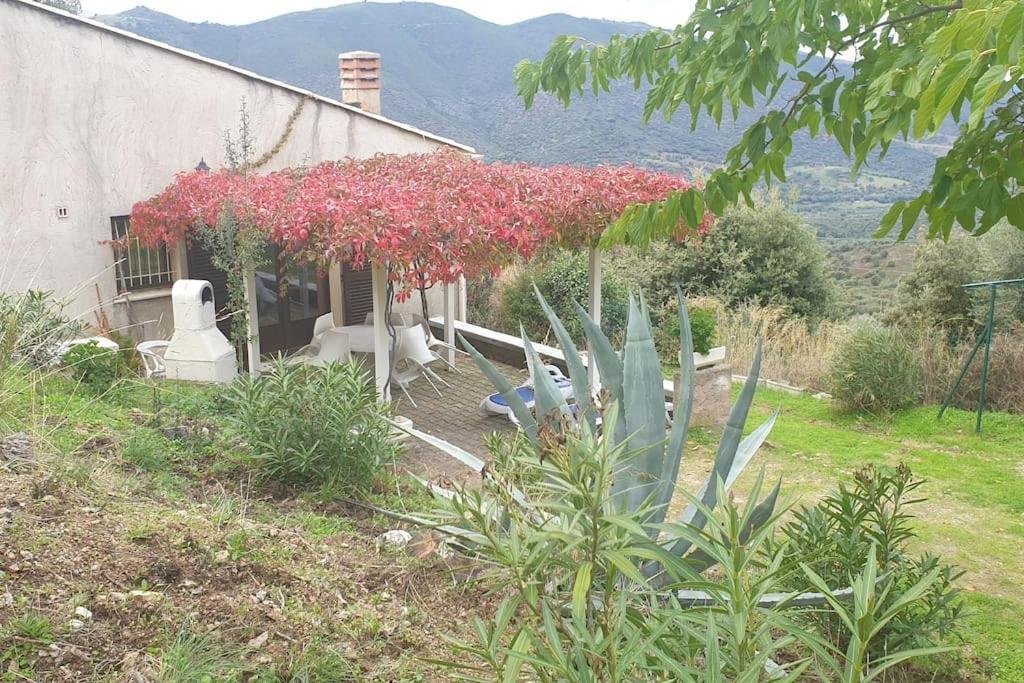 Vos Vacances A Lama France Corse Екстер'єр фото