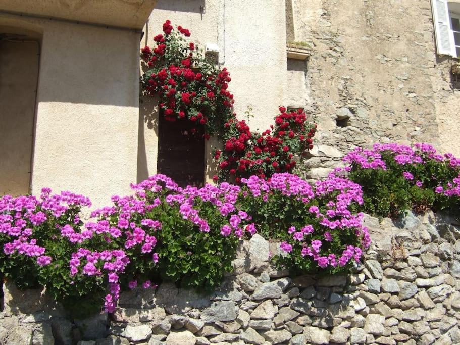Vos Vacances A Lama France Corse Екстер'єр фото