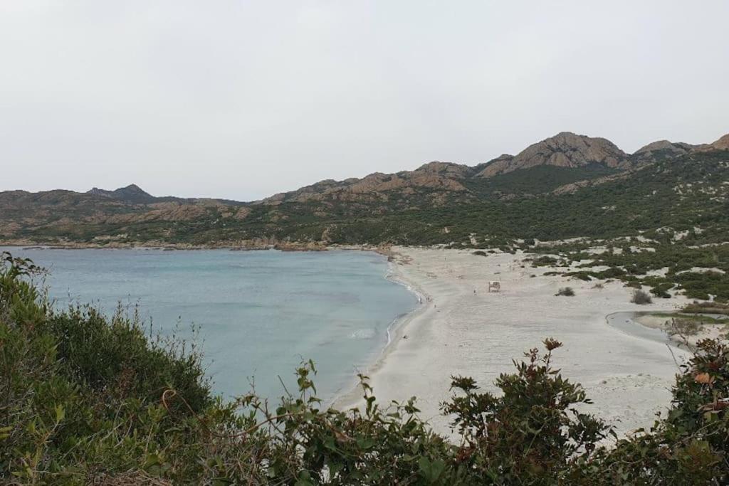 Vos Vacances A Lama France Corse Екстер'єр фото