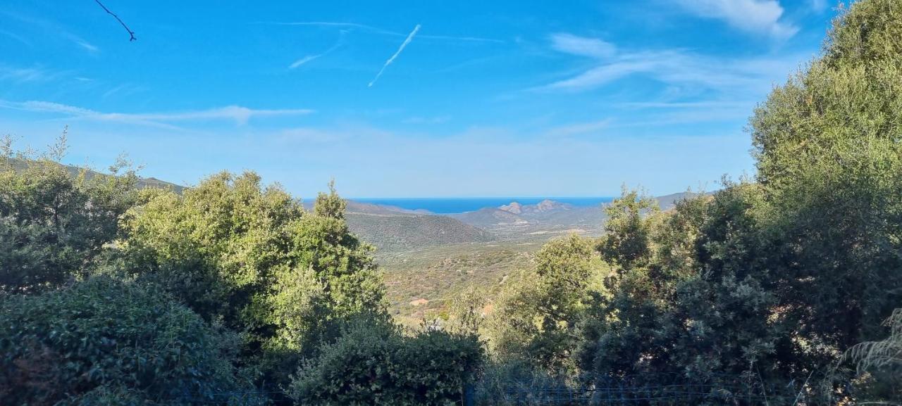 Vos Vacances A Lama France Corse Екстер'єр фото